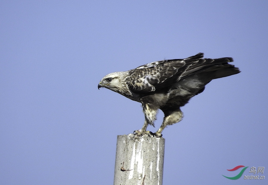 DSCN0431-3.jpg