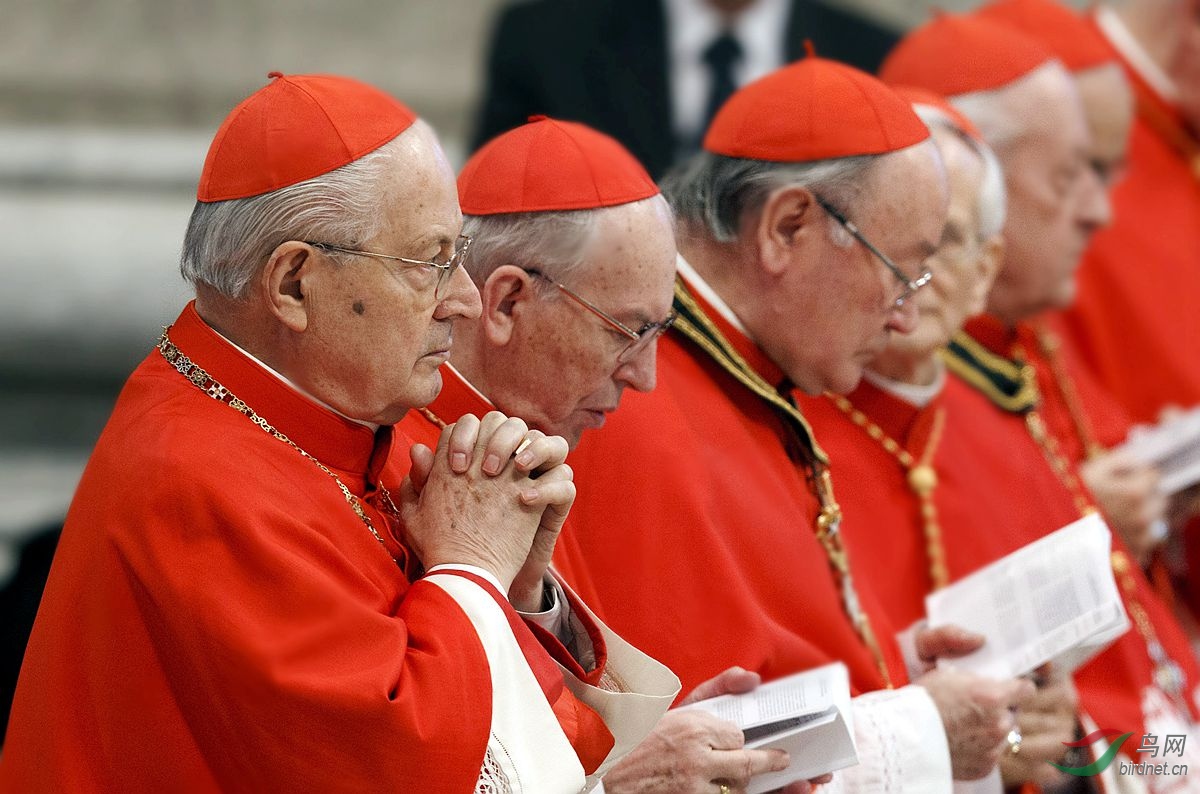 枢机主教的红色礼服.jpg