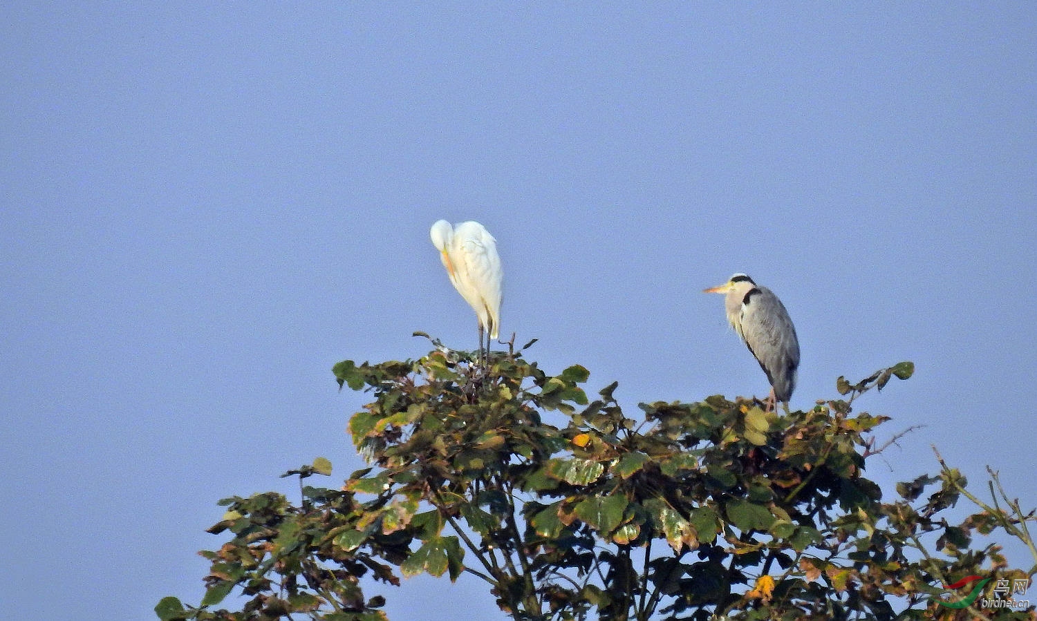 DSCN3257.JPG