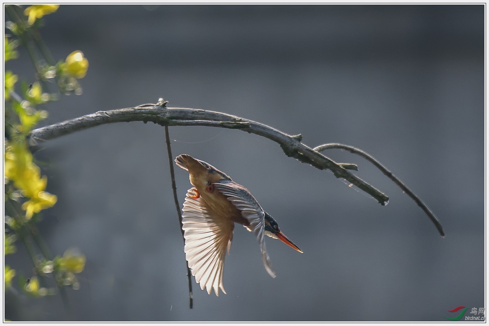 JJY_6976.jpg