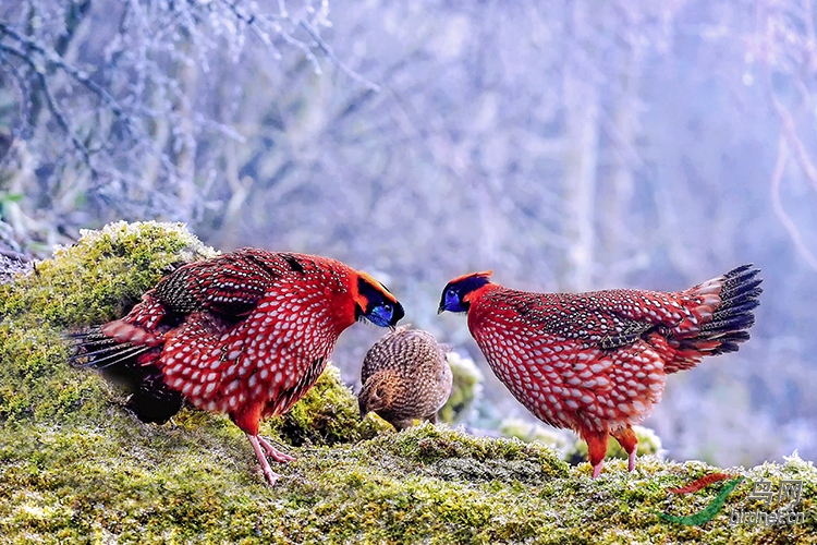 DSC_4615_����.jpg1.jpg