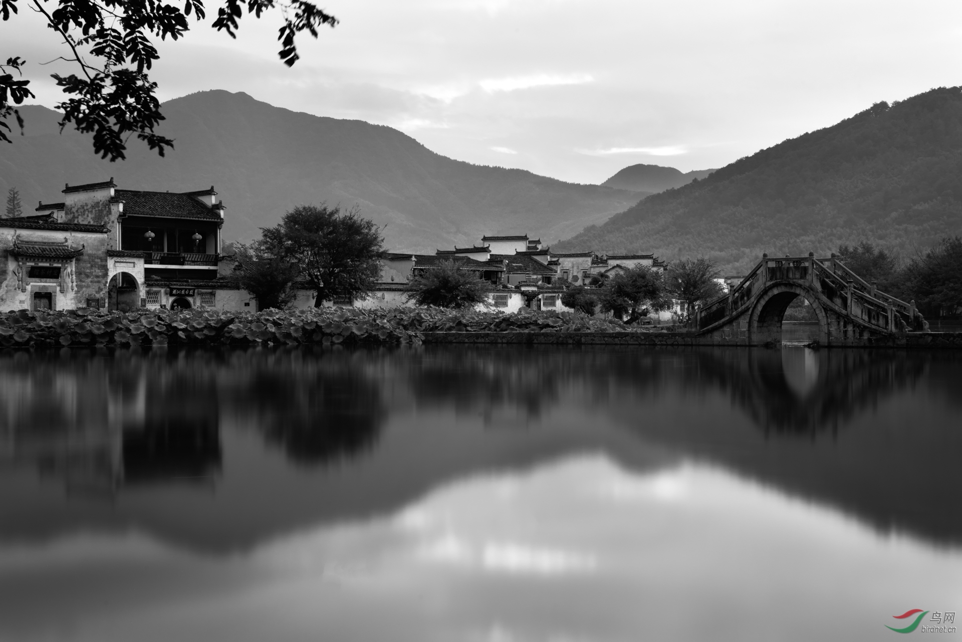 [风光] 家乡------祝贺荣获黑白影像首页精华!