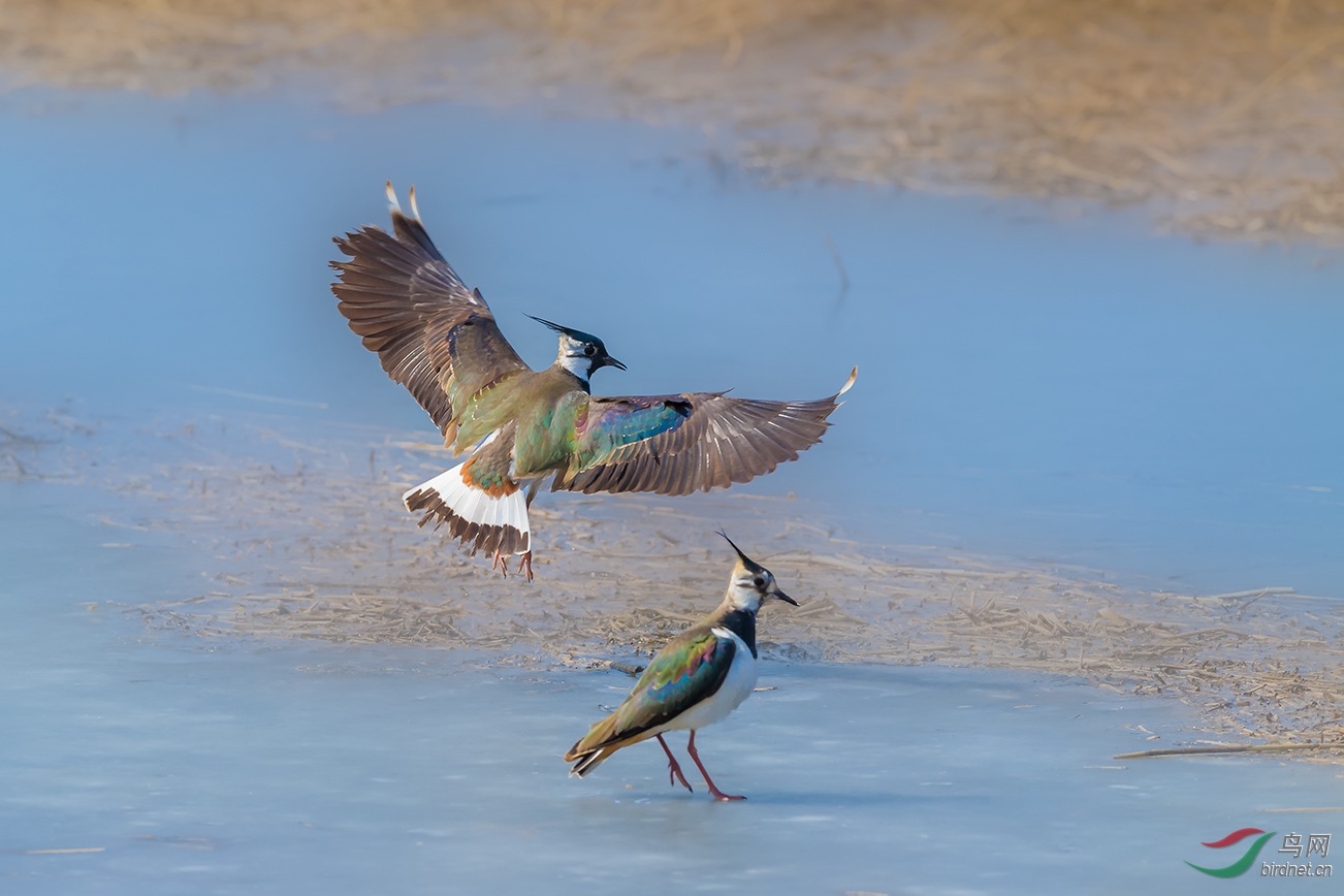 20190406-2.jpg
