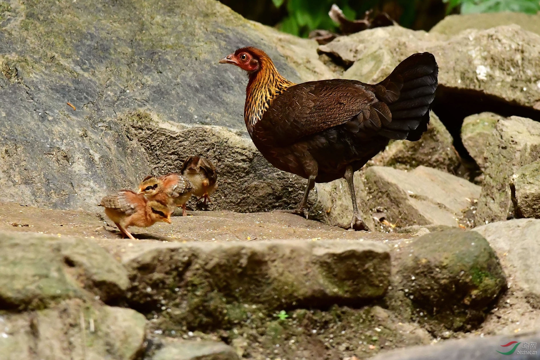 DSC_8228_����.jpg