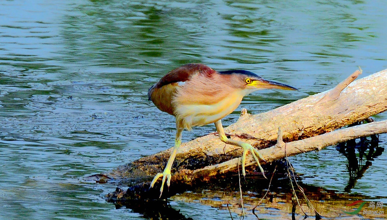 DSC_5682.JPG