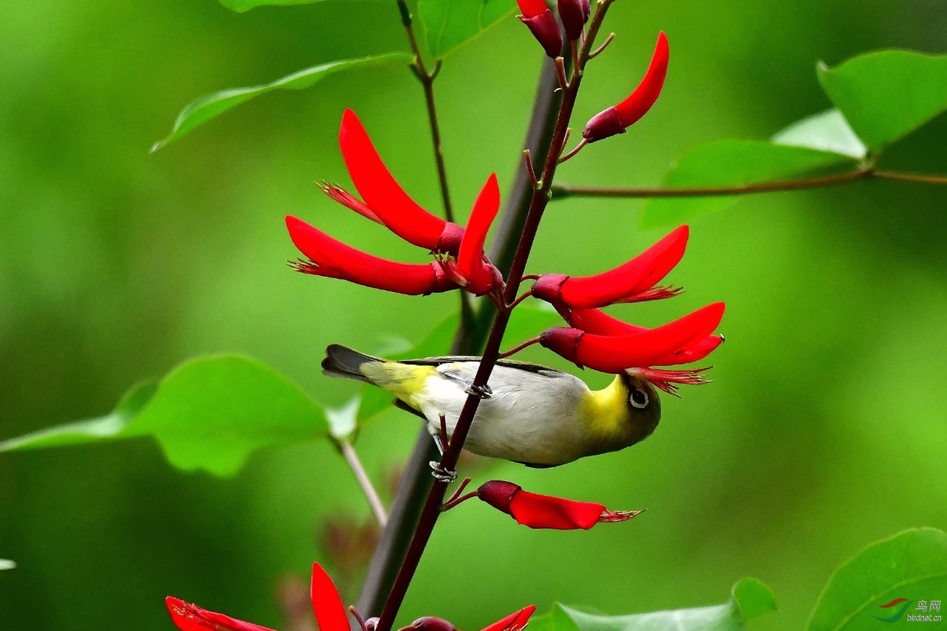 DSC_9186_����.jpg