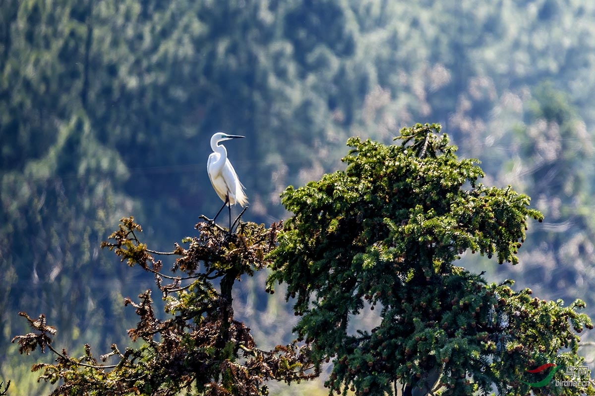 DSC_3362.jpg