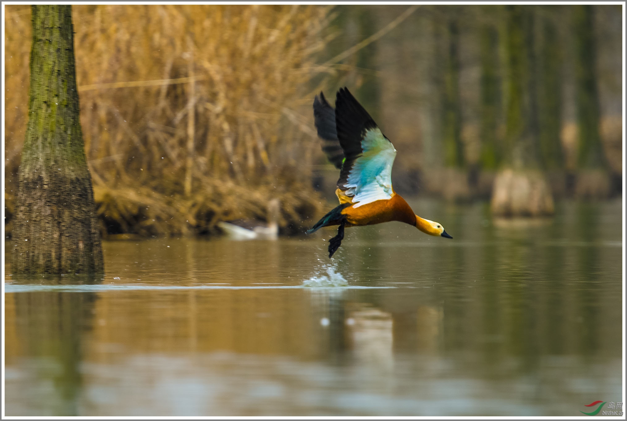 ��_XUX1020��Ϊ���ܶ���-1 2000.jpg