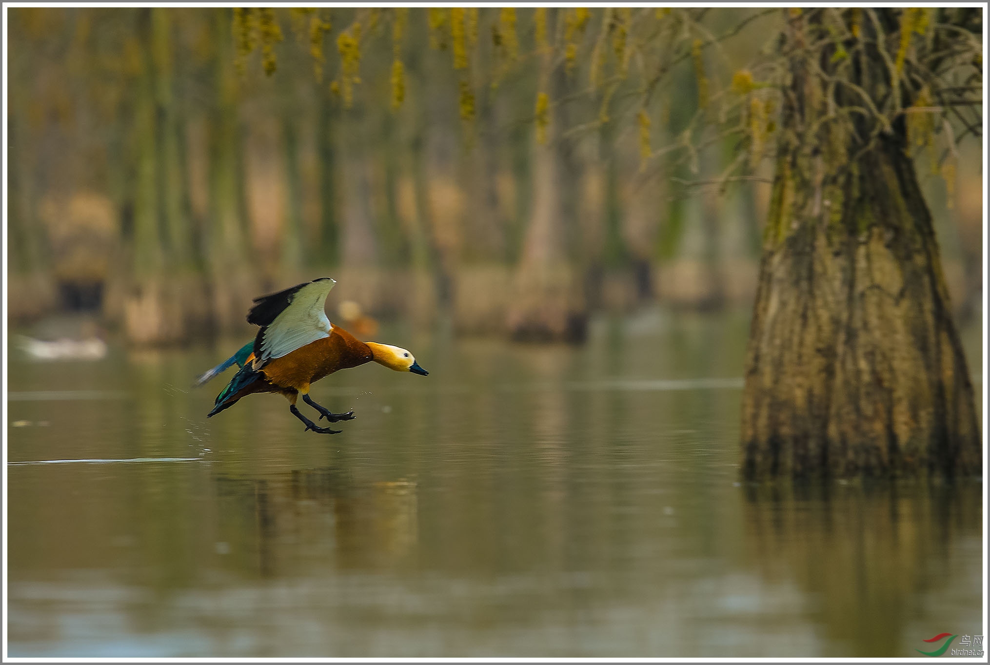 ��_XUX1023��Ϊ���ܶ���-1 2000.jpg