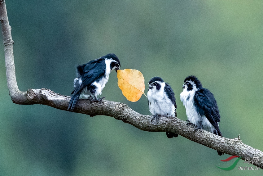 AK8I0778  _����.jpg