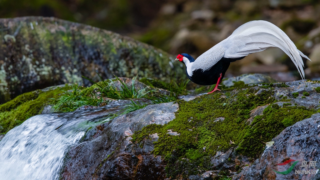 AK8I6843  _����_.jpg