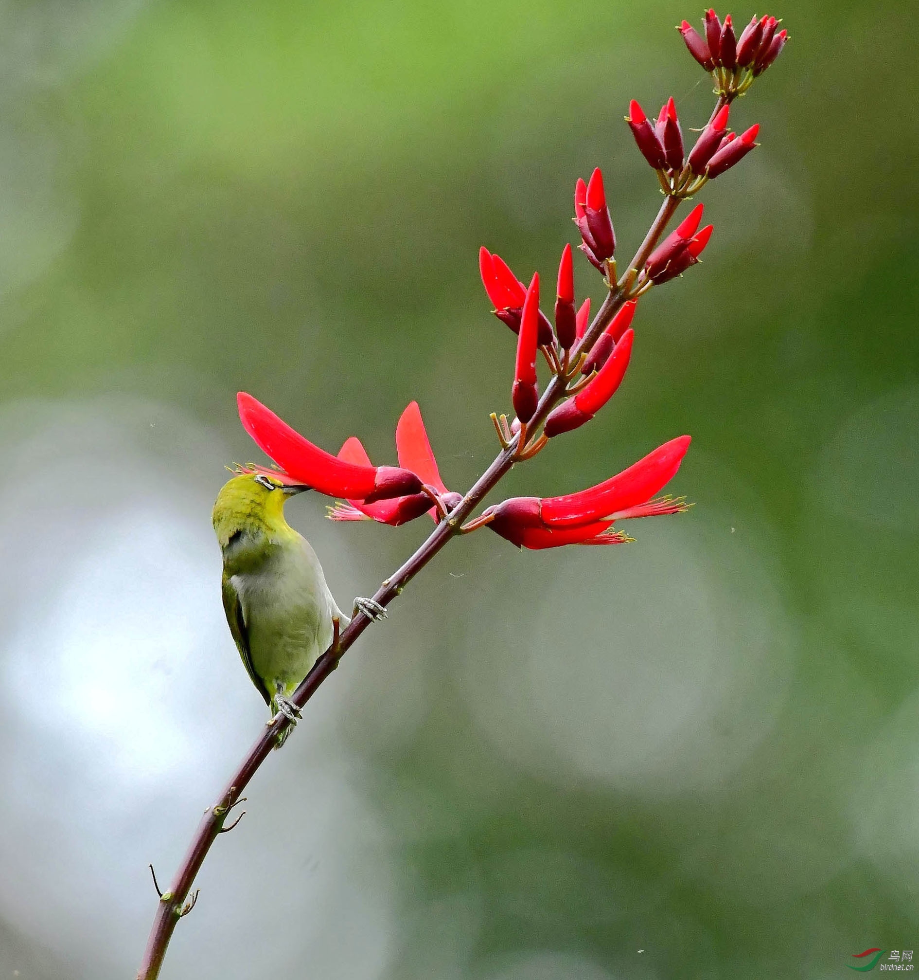 DSC_9210_����.jpg