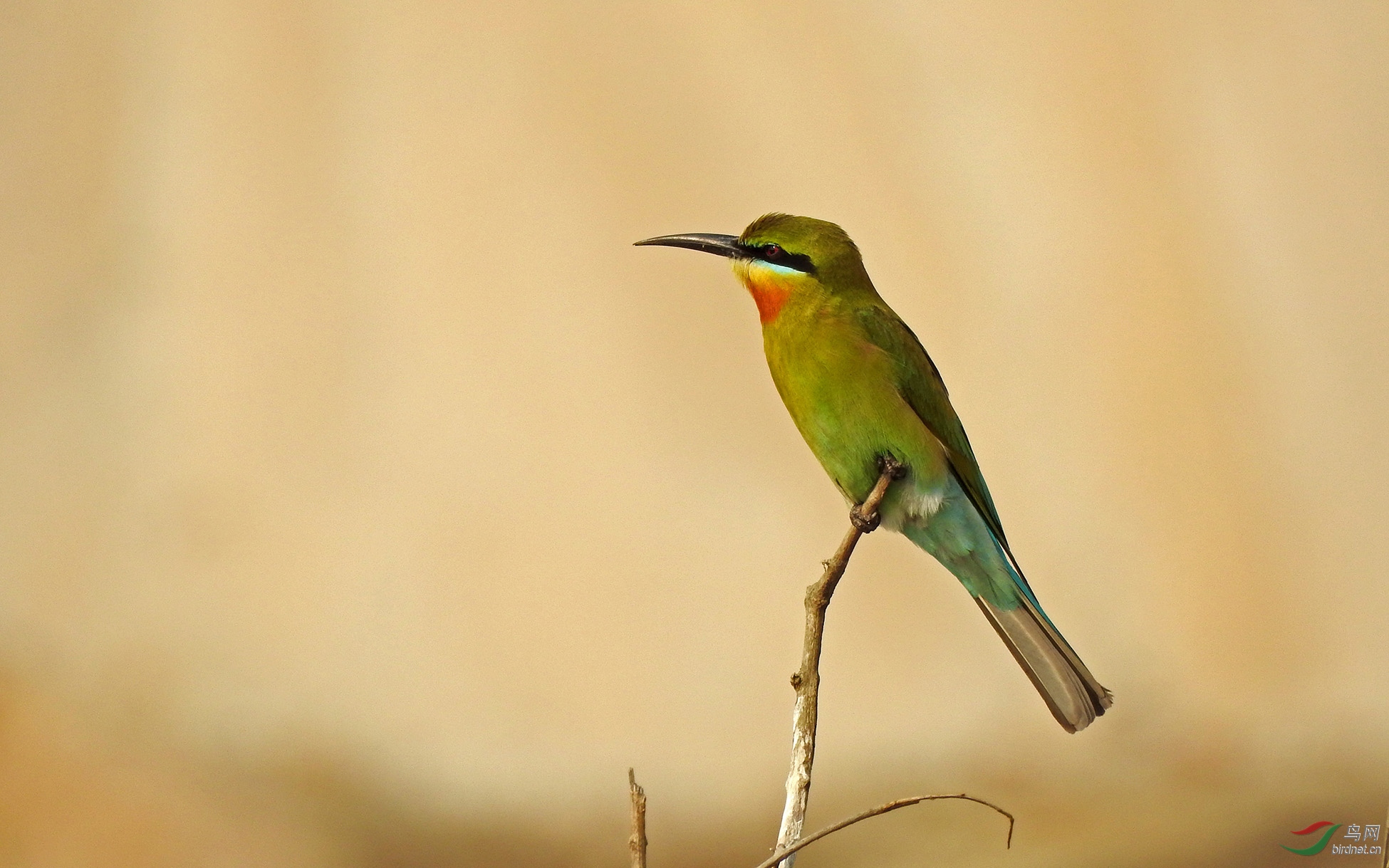 DSCN20611.jpg
