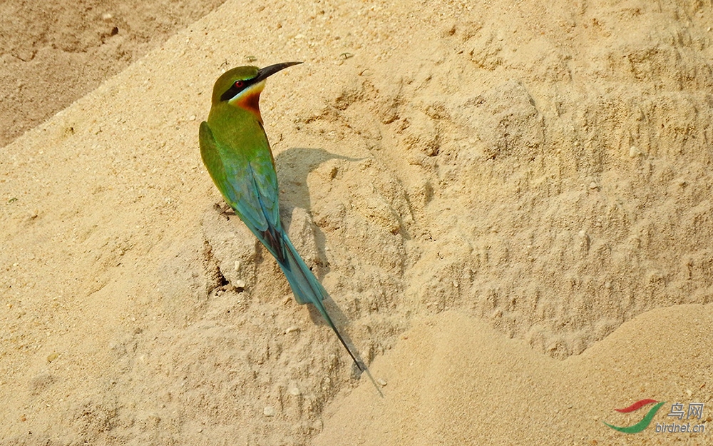DSCN20621.jpg