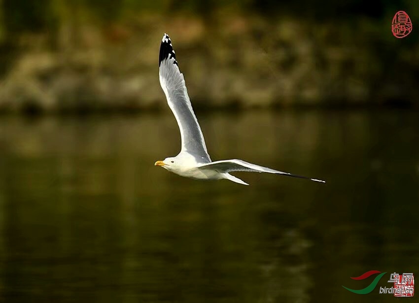 12109B42-4C33-4AAC-A029-5539E5B0DB5E.jpeg