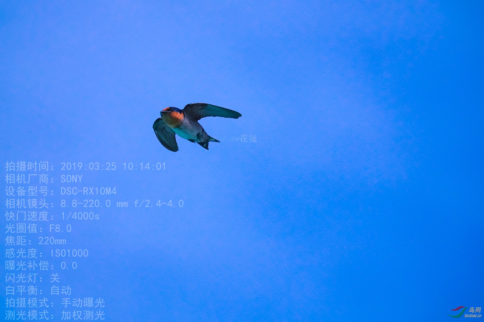 DSC02779B-1_����_����.jpg