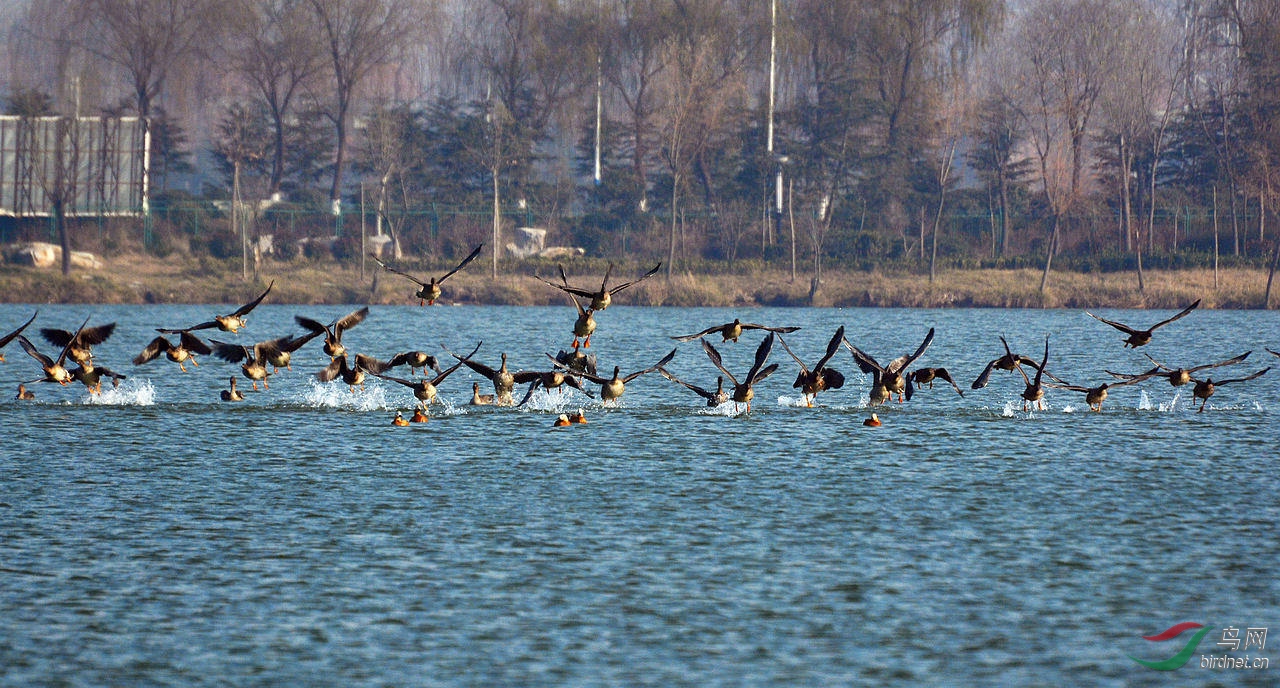 DSC_6955.JPG
