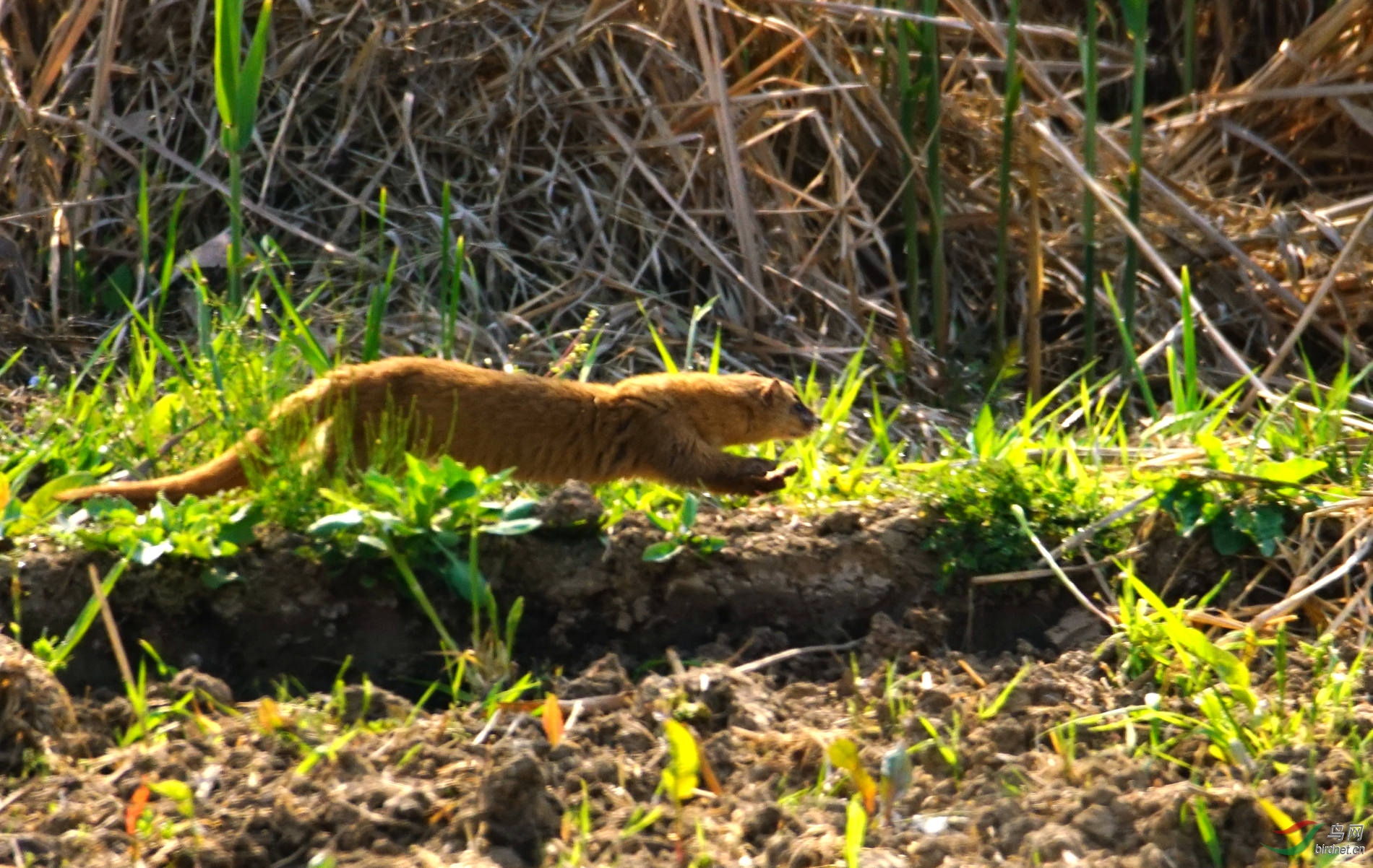 DSC08246_����.jpg