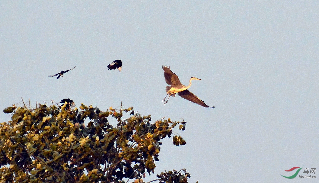 DSC_5428.JPG