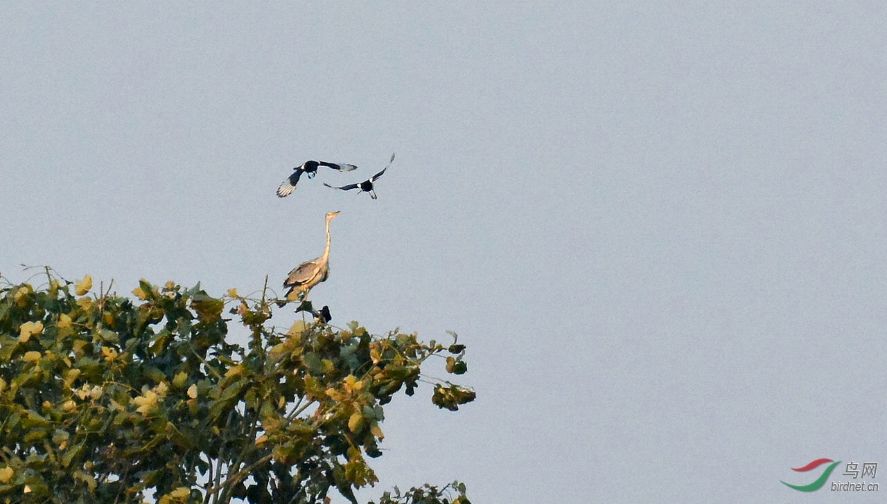 DSC_5422.JPG