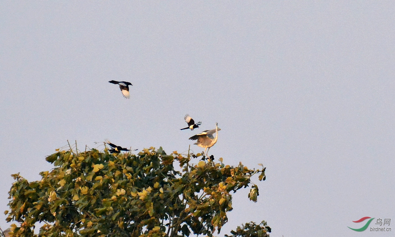 DSC_5417.JPG