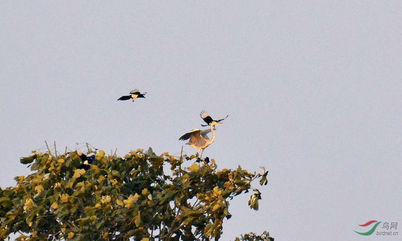 DSC_5418.JPG