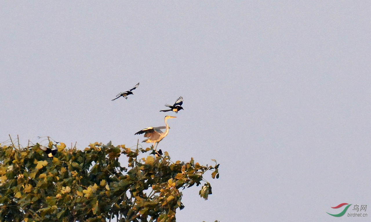 DSC_5419.JPG