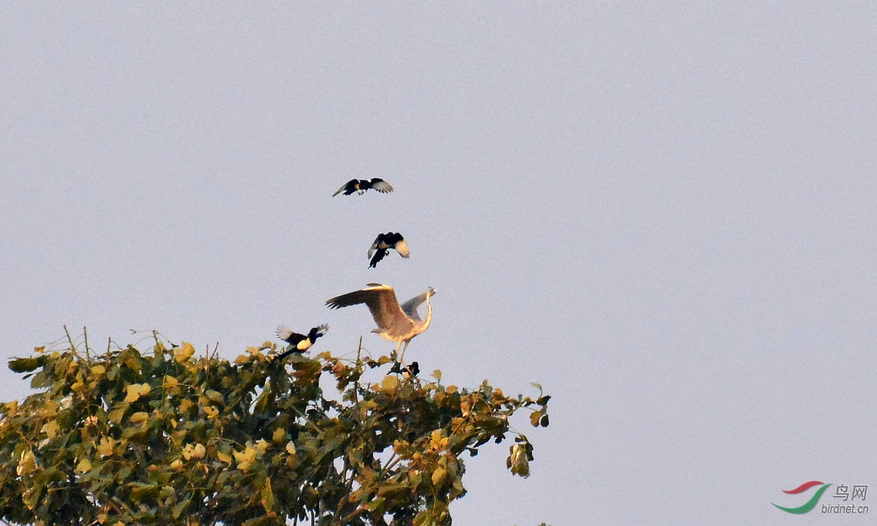 DSC_5414.JPG