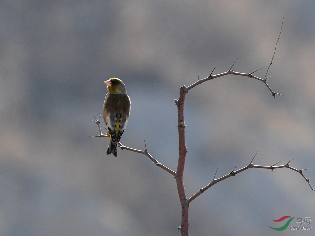 D50_2943.jpg