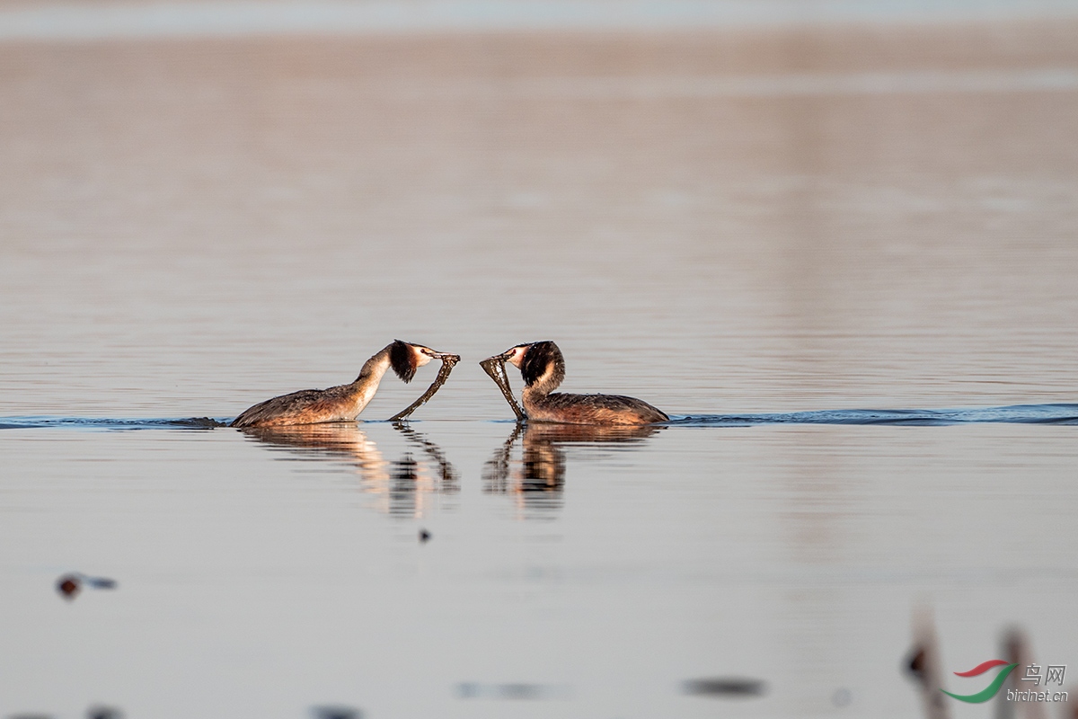 5I4A4504��ͷ�G�f .jpg