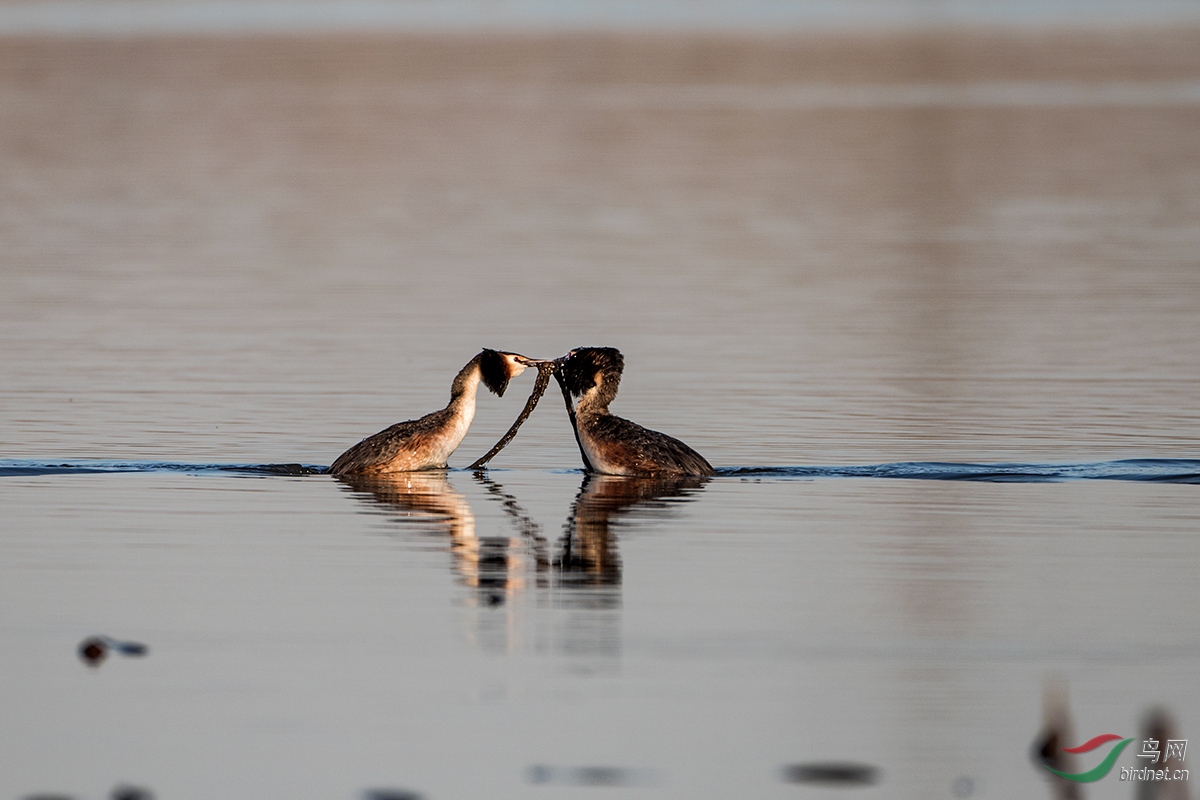 5I4A4505��ͷ�G�f .jpg