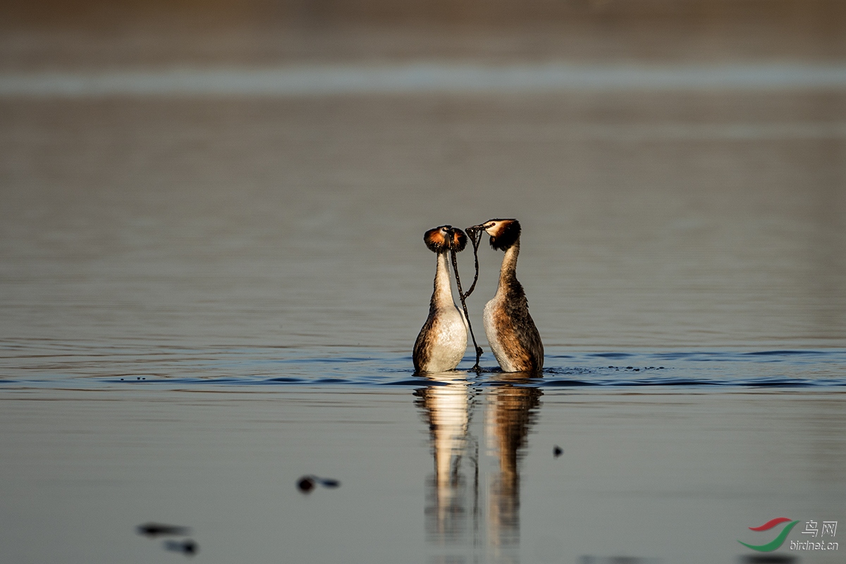 5I4A4524��ͷ�G�f .jpg