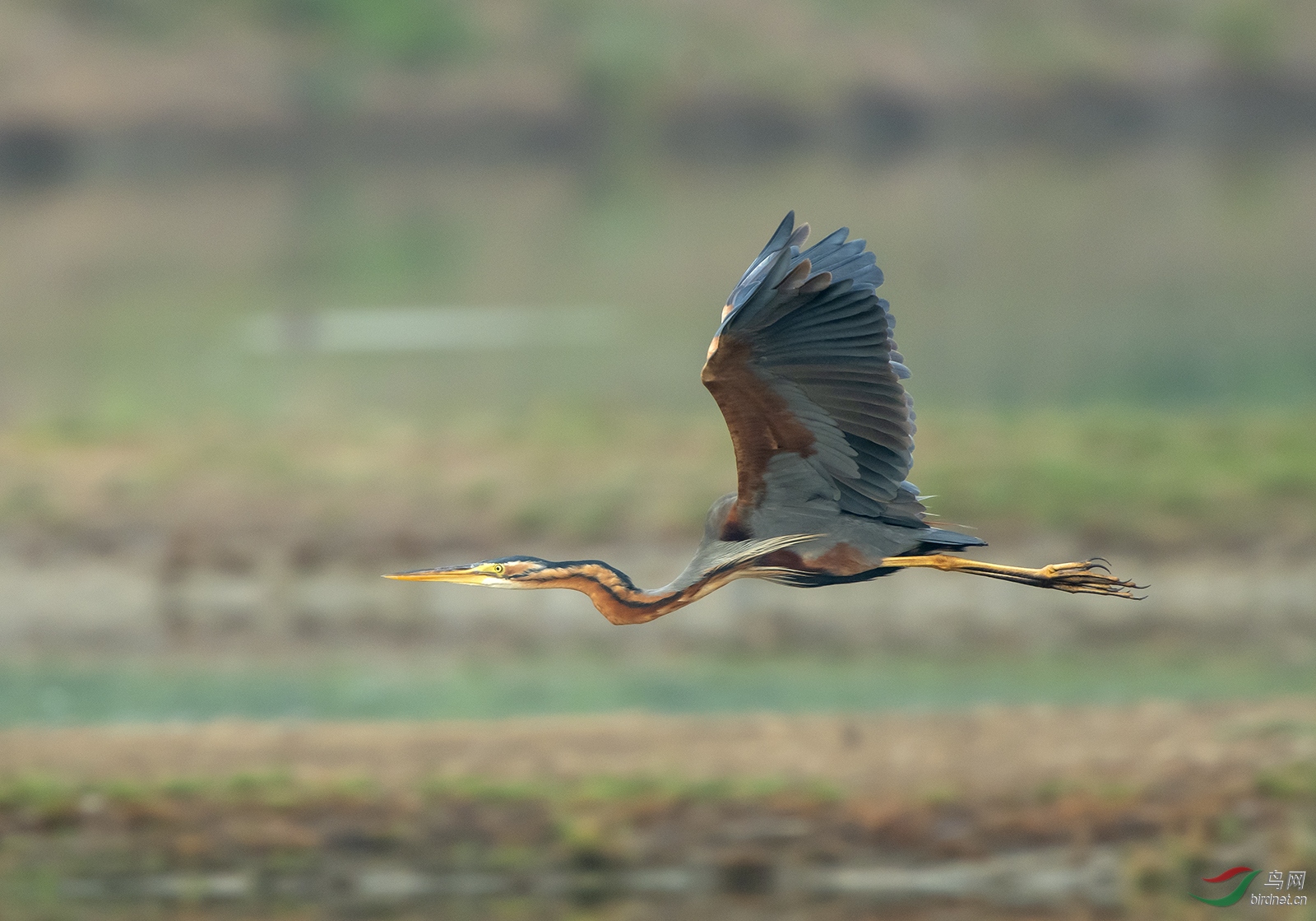 DSC_8088.jpg