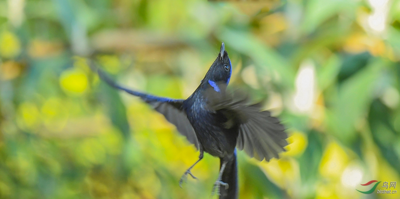 DSC_8384.jpg
