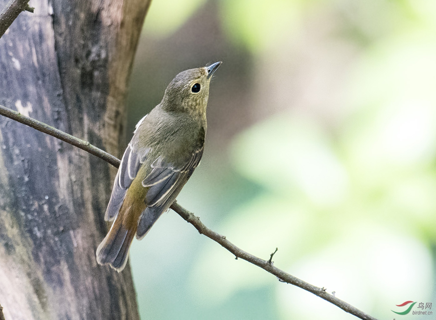 DSC_7296.jpg