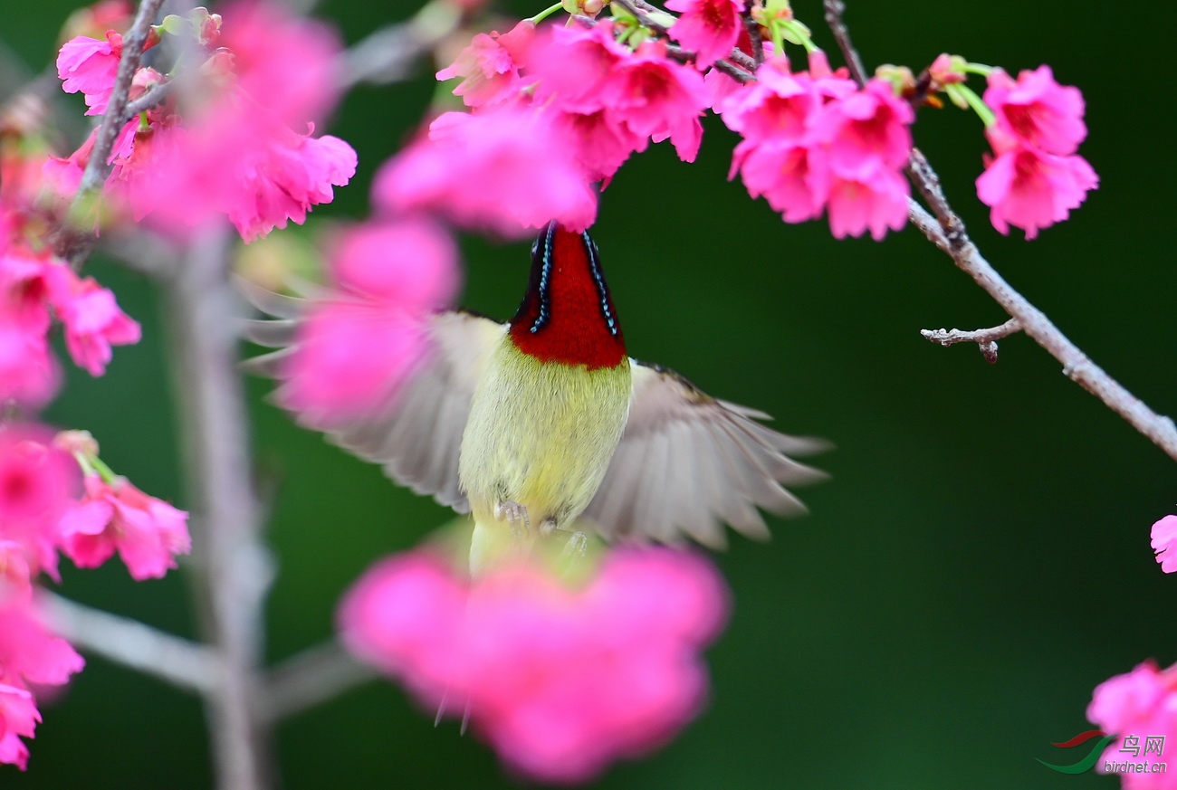 DSC_9134.JPG