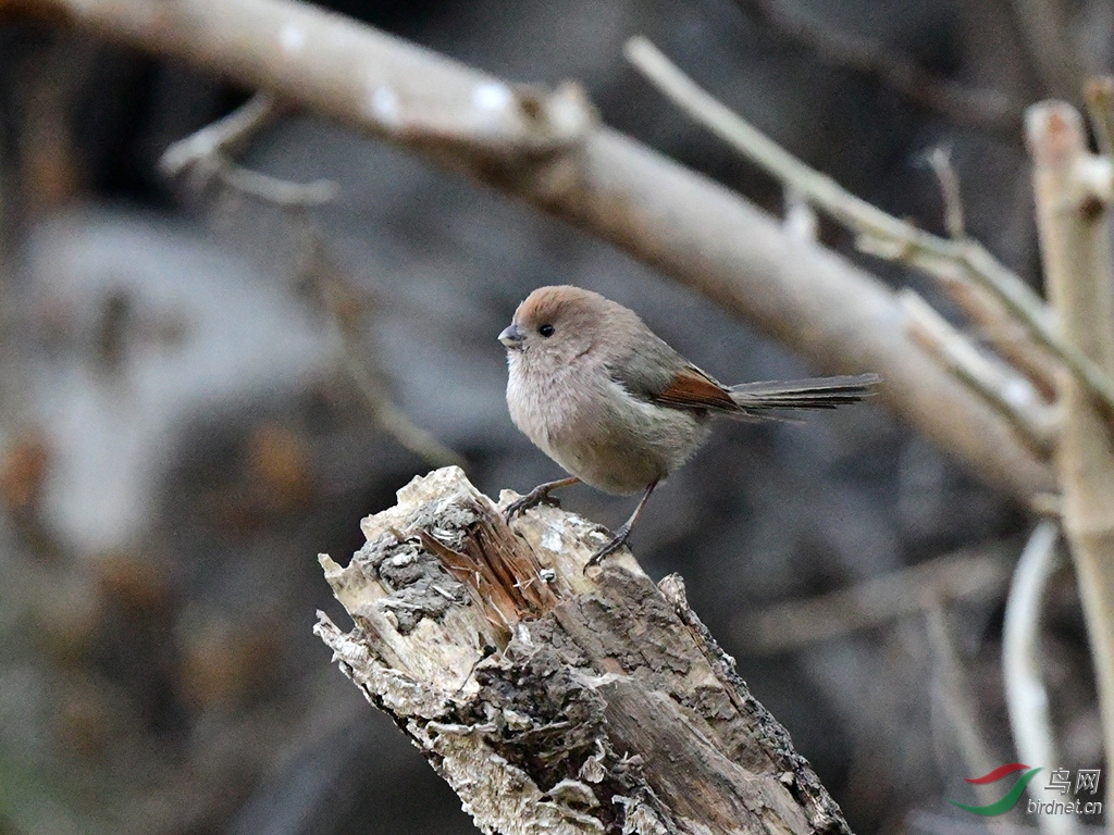 D50_2819.jpg