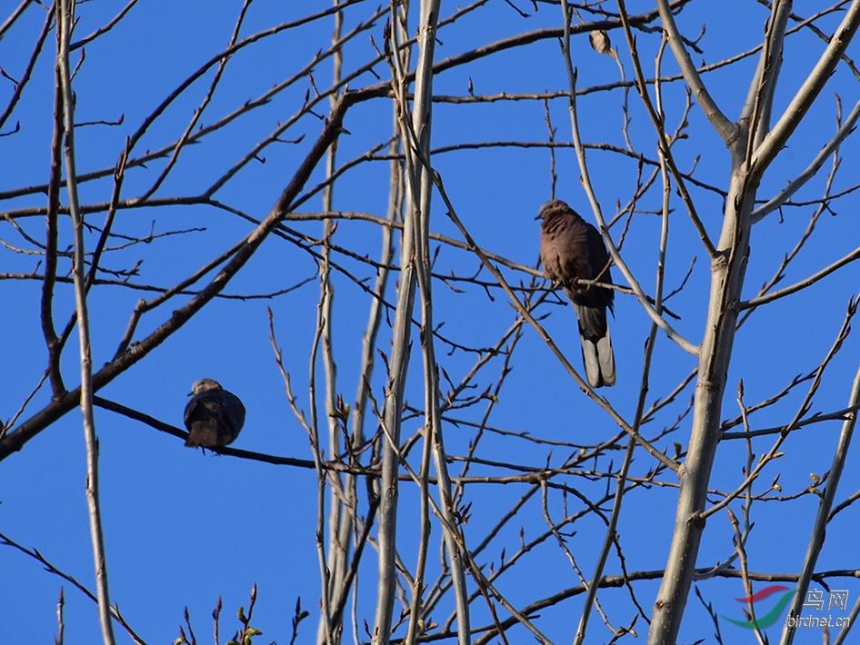 D50_2788.jpg