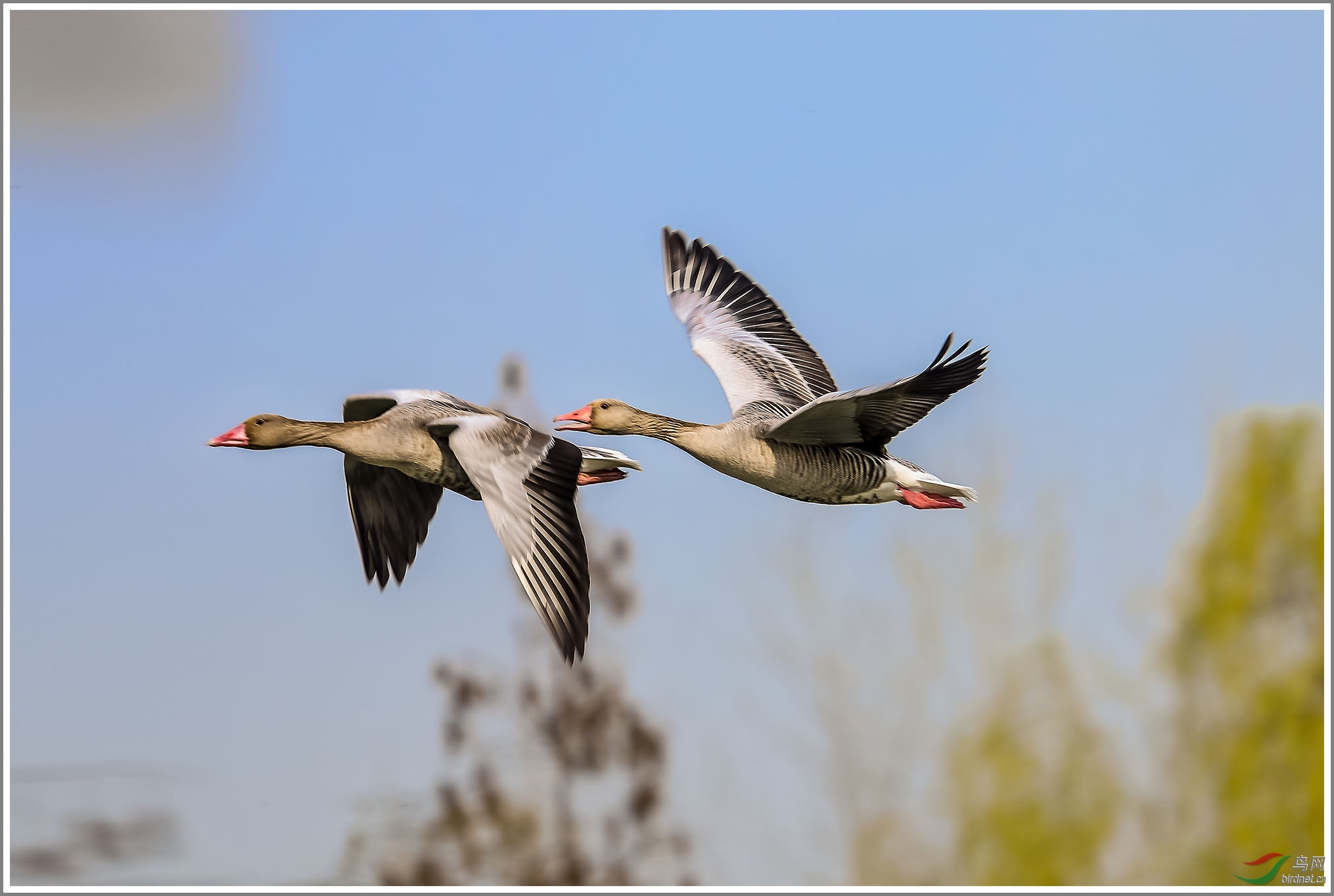 ��_XUX0209��Ϊ���ܶ���-1 2000.jpg