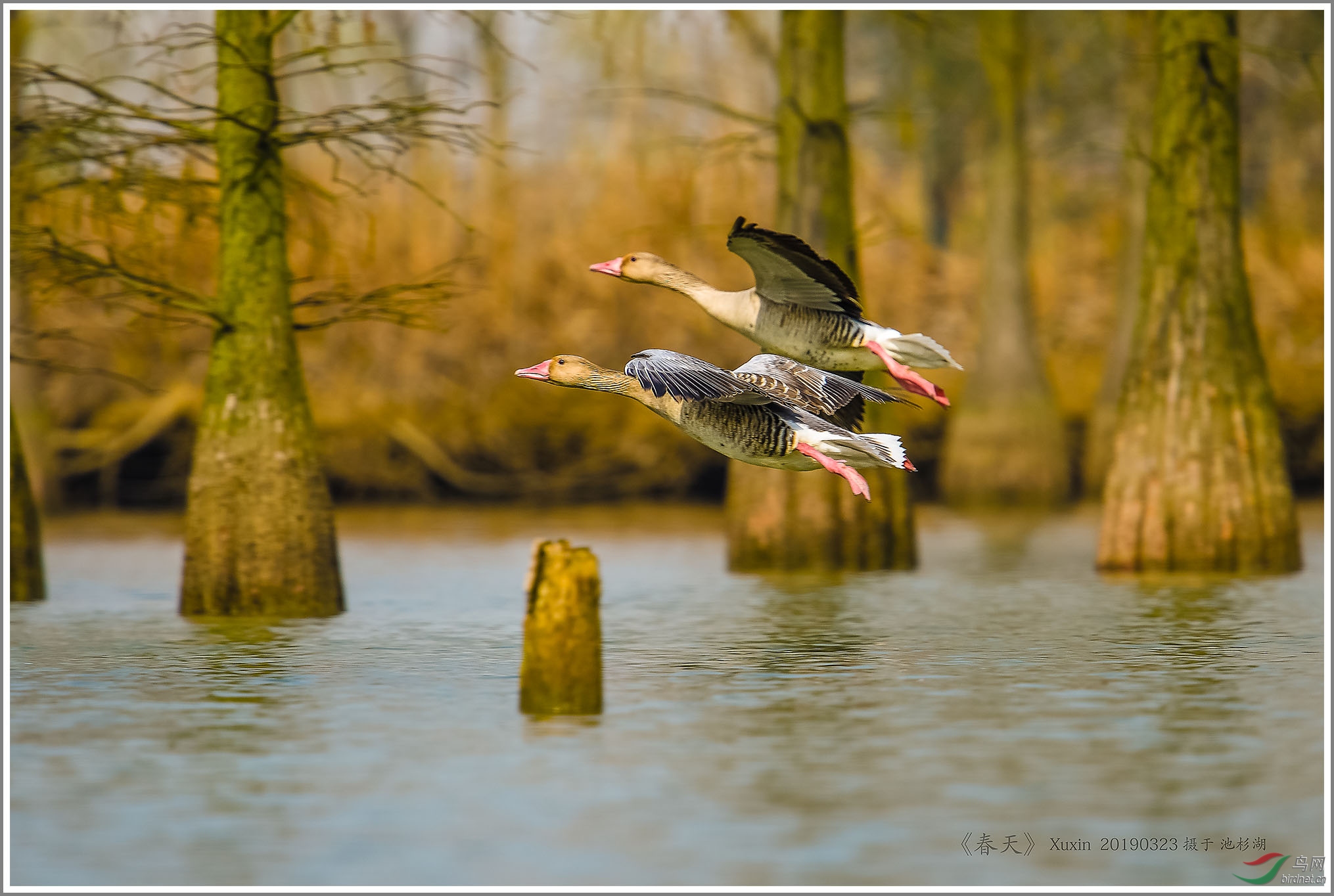 ��_XUX0307��Ϊ���ܶ���-1 2000.jpg