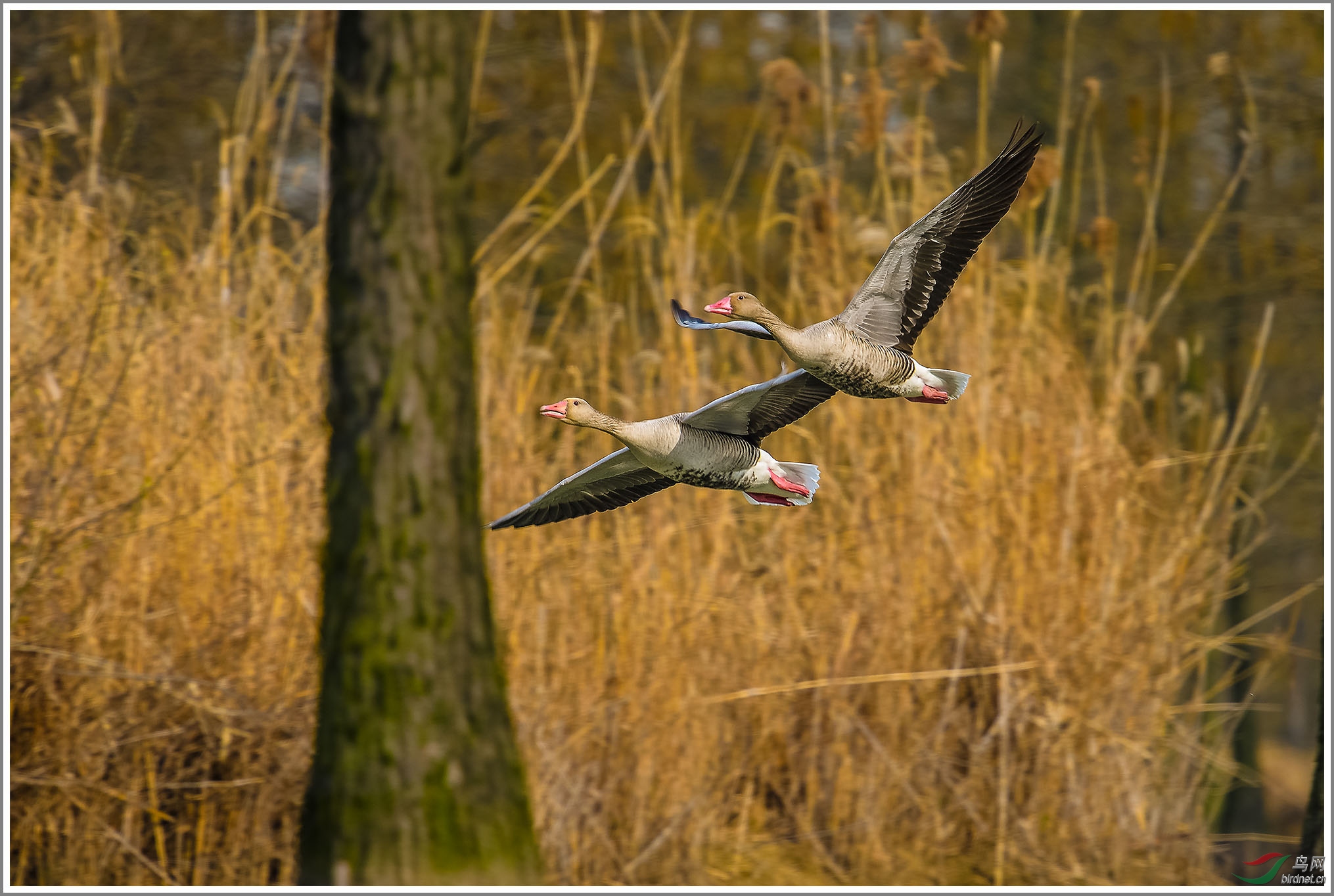 ��_XUX0192��Ϊ���ܶ���-1 2000.jpg