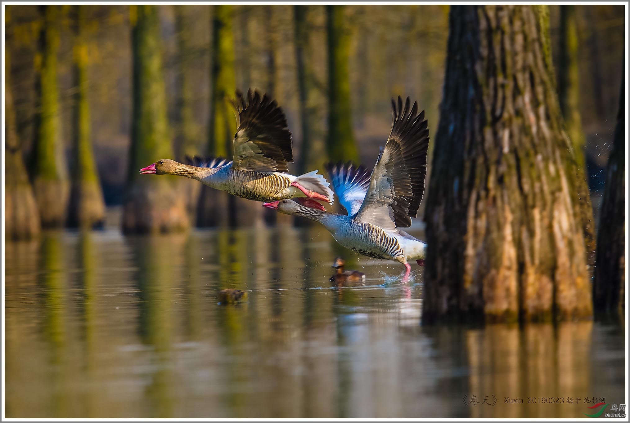 ��_XUX0091��Ϊ���ܶ���-1 2000.jpg