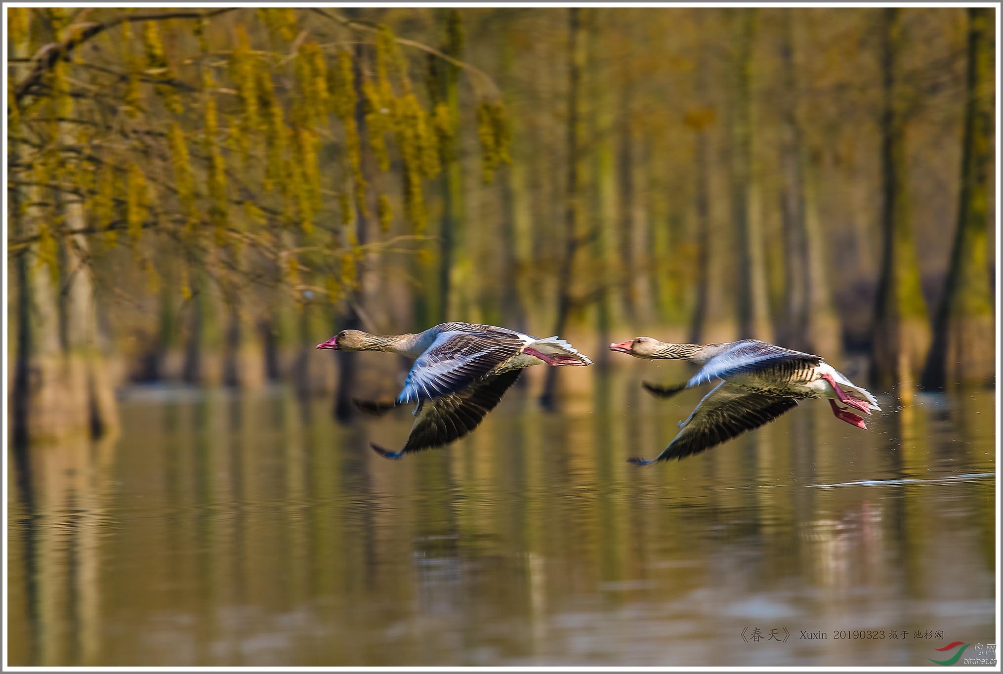 ��_XUX0096��Ϊ���ܶ���-1 2000.jpg