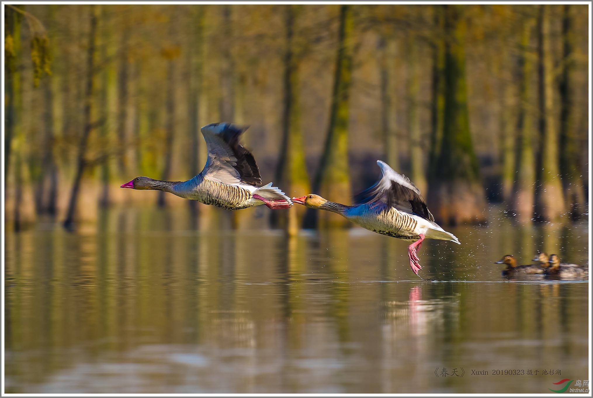 ��_XUX0095��Ϊ���ܶ���-1 2000.jpg