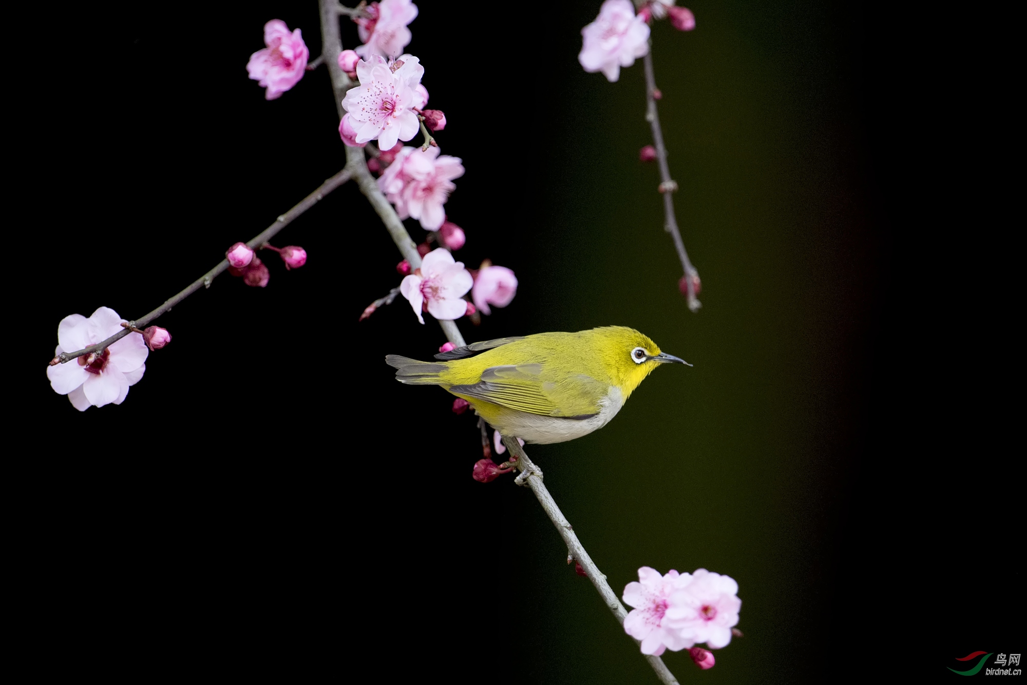 DSC_9448.jpg