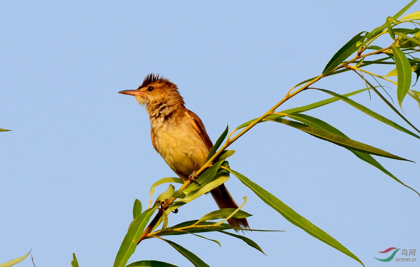 DSC_3761.JPG