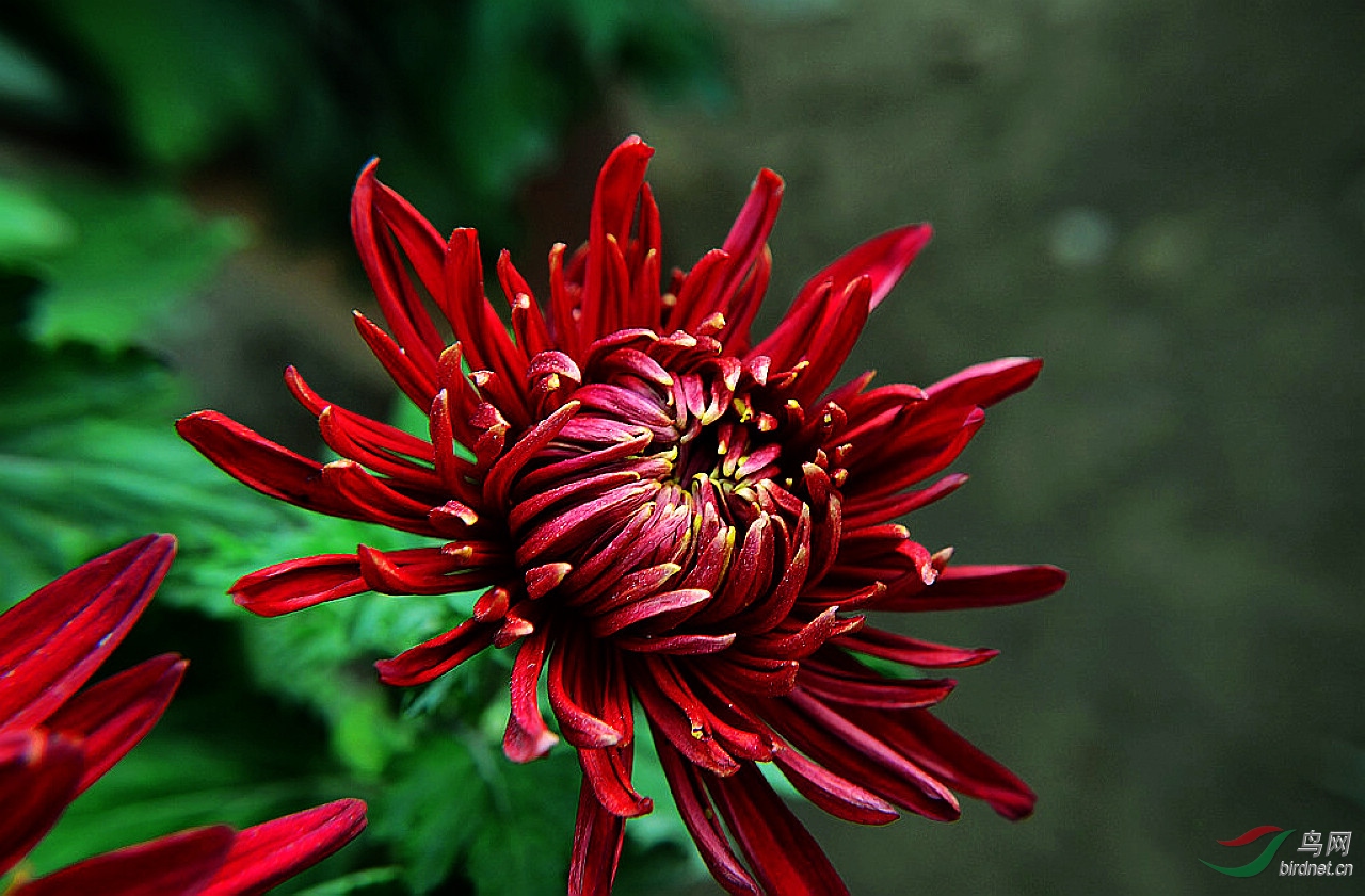 DSC_0810.JPG