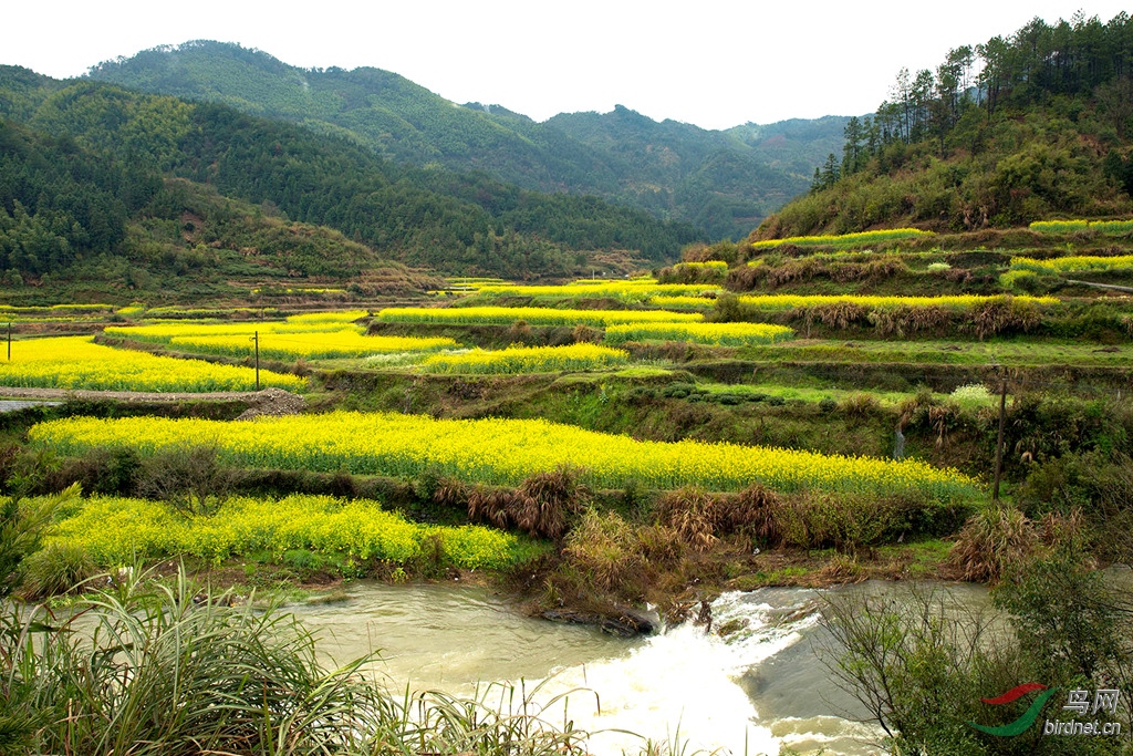 916A7181 02_����.jpg