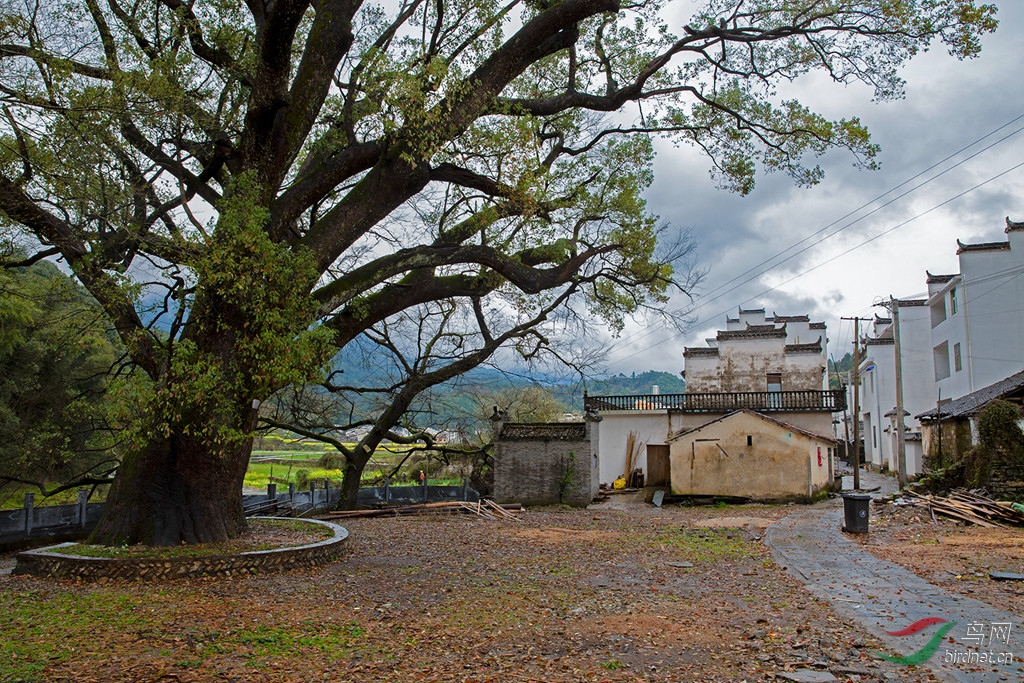 916A7167  02_����.jpg