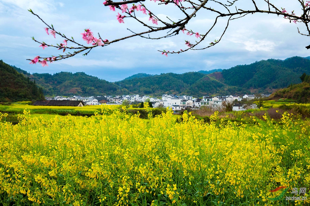 916A7216 03_����.jpg